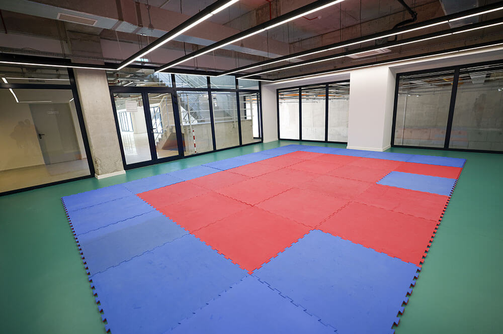 gisap-multi-purpose-studios-001