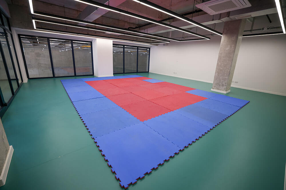gisap-multi-purpose-studios-002