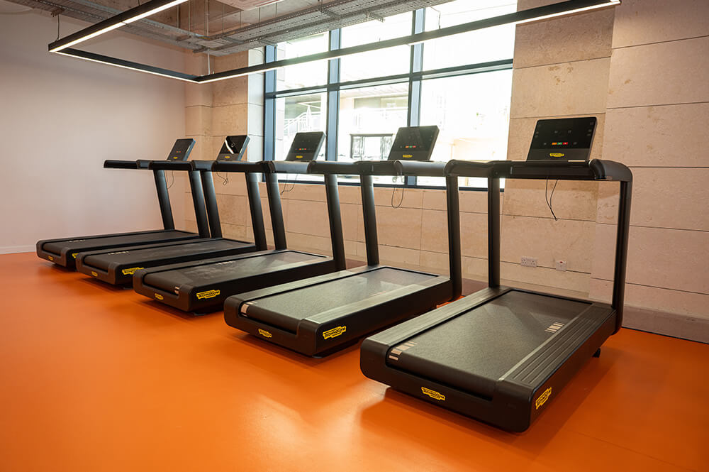 Fitness Gym
