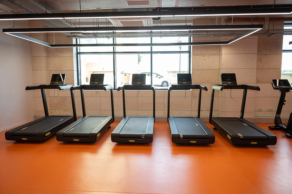 Fitness Gym