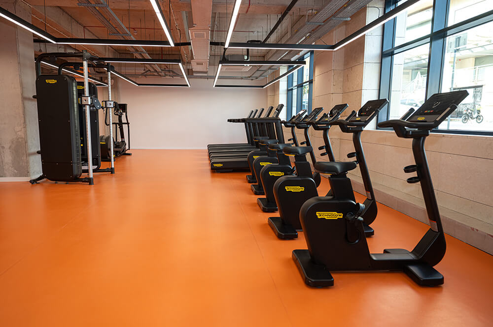 Fitness Gym