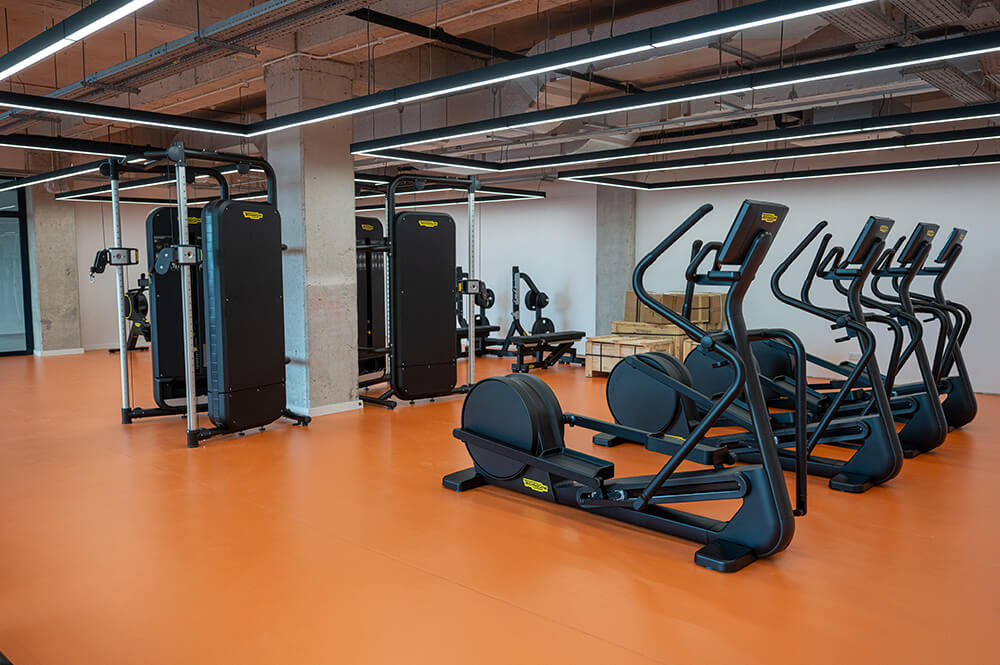 Fitness Gym