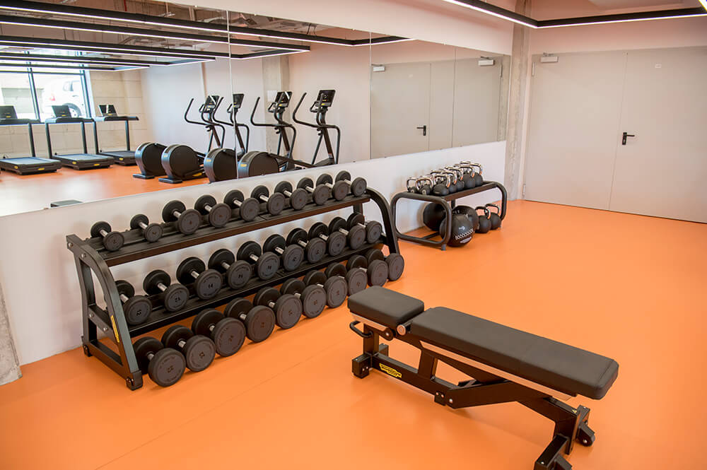 Fitness Gym