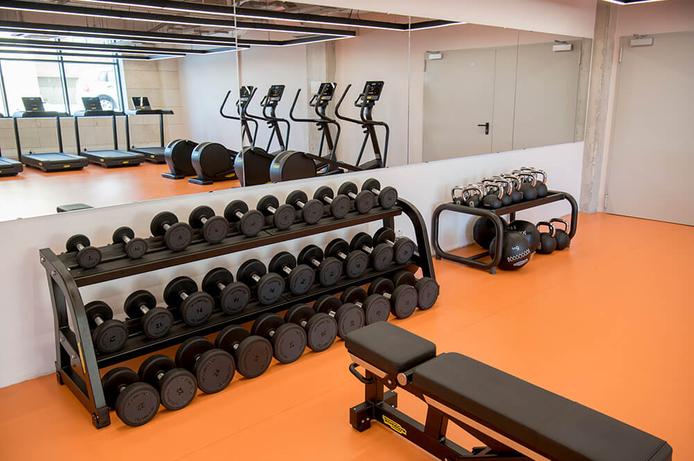 Fitness Gym