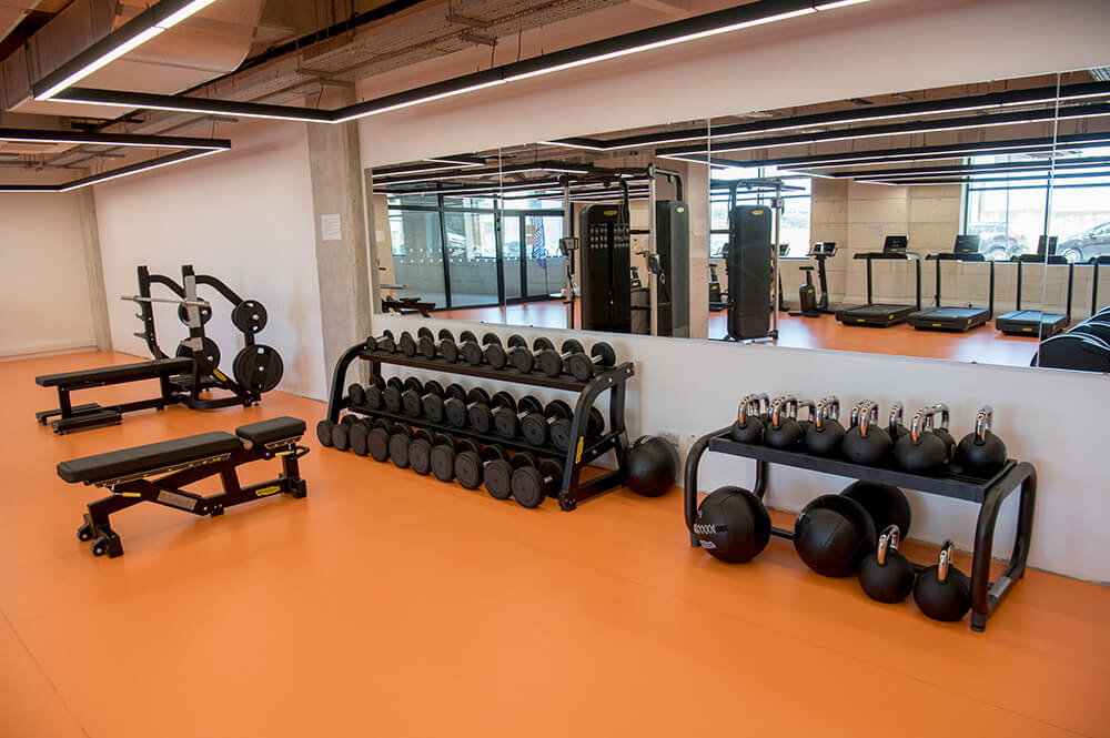 Fitness Gym