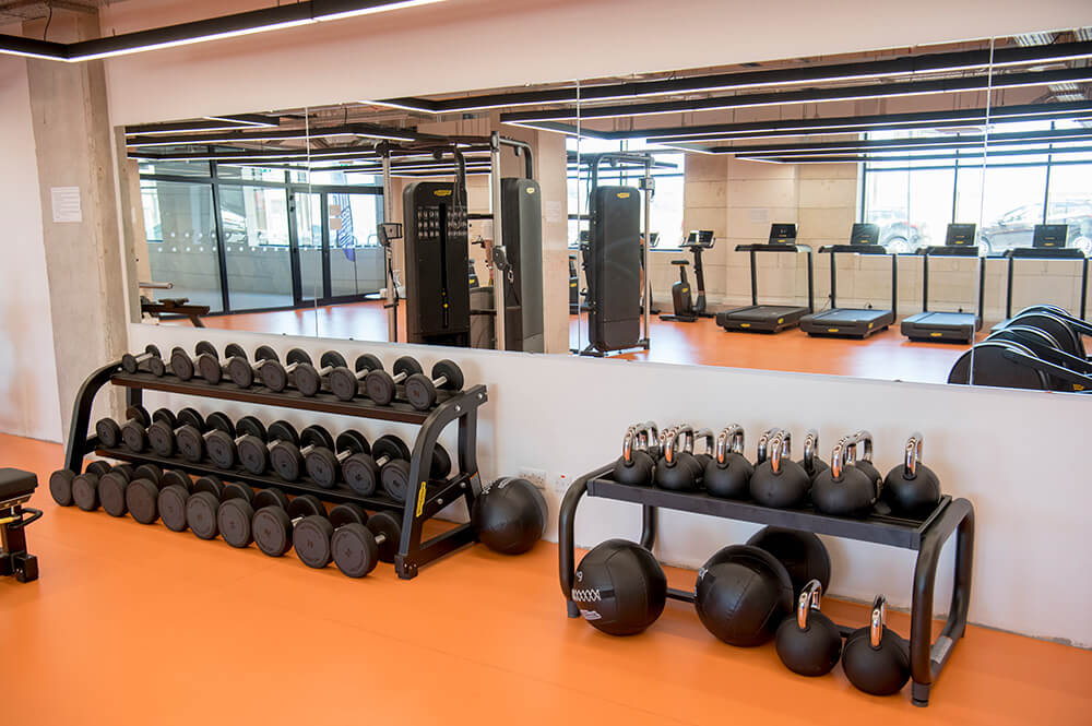 Fitness Gym